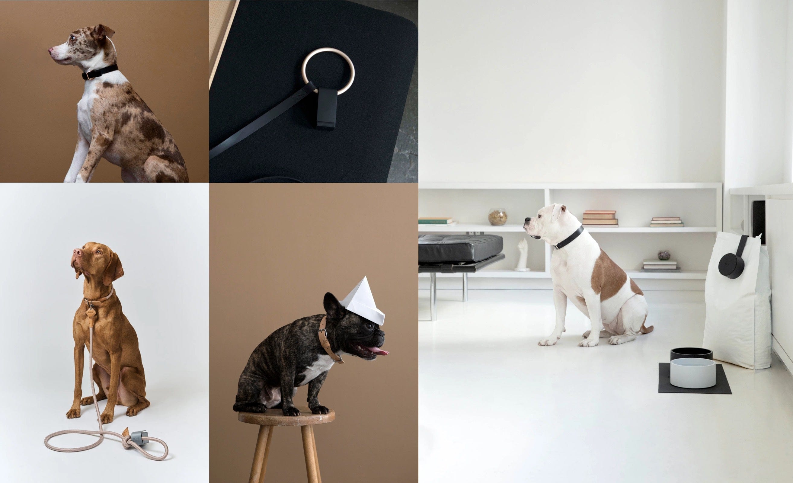 Japandi inspired Pet Accessories shown Lay Lo Pet Bed, shop at Japandi Supply House