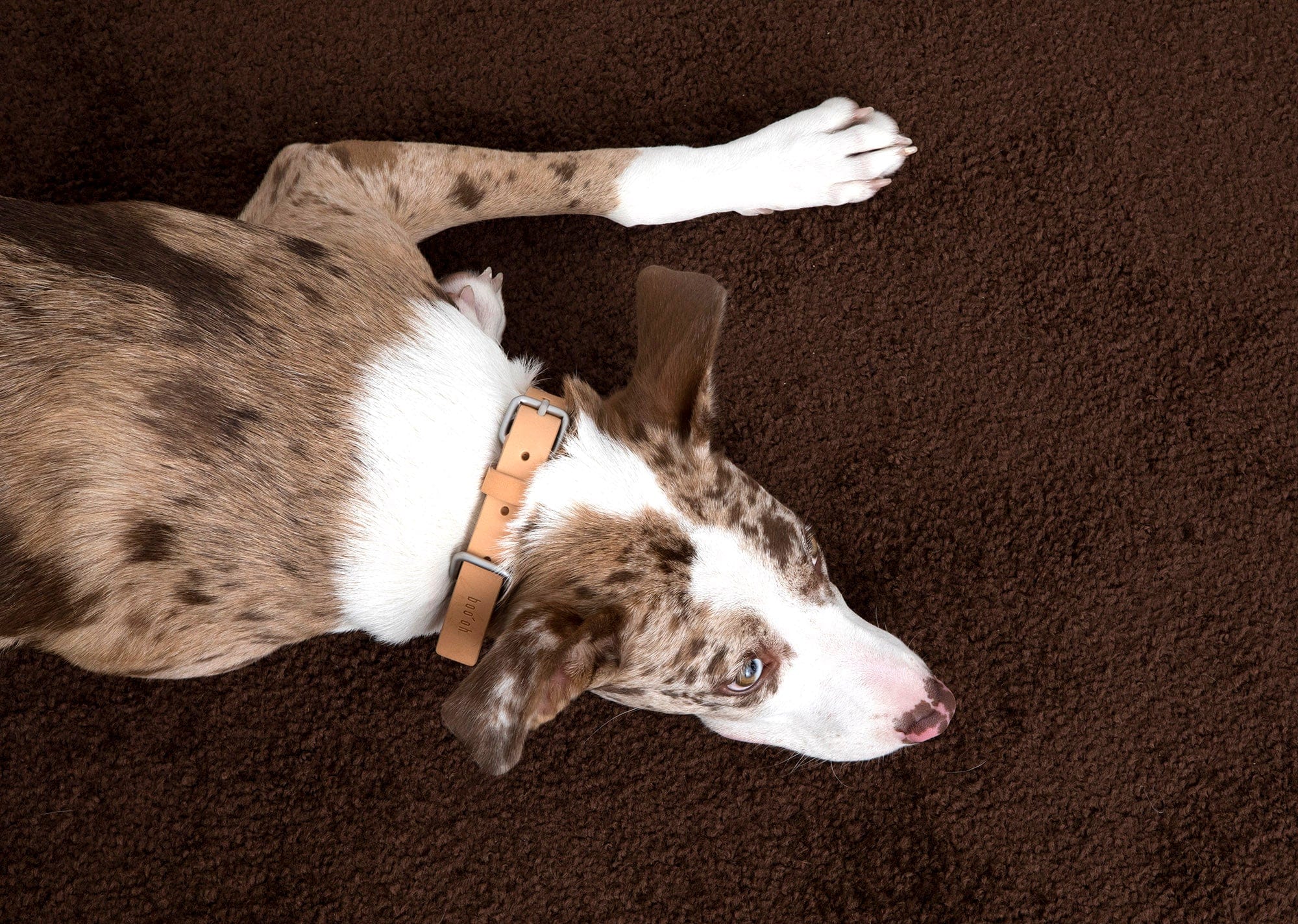 Lumi Collar, Silver + Tan