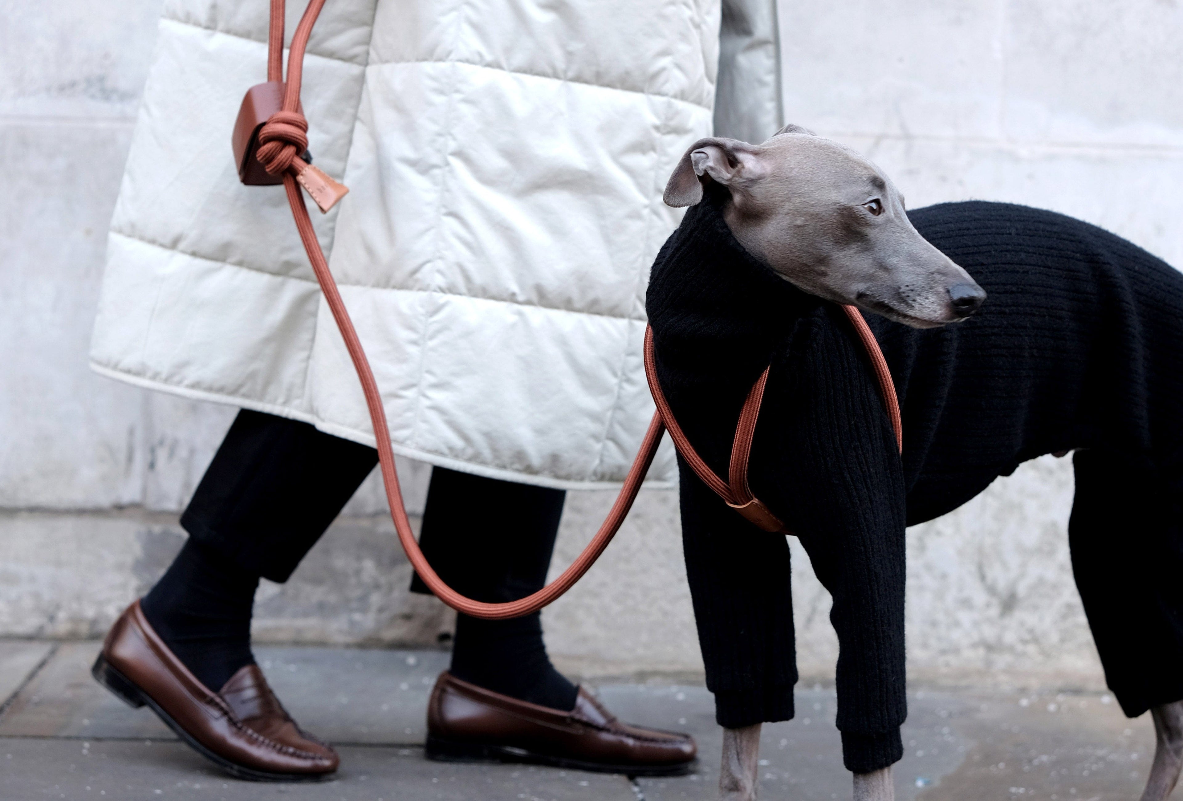 Ray Harness, Camel Brown