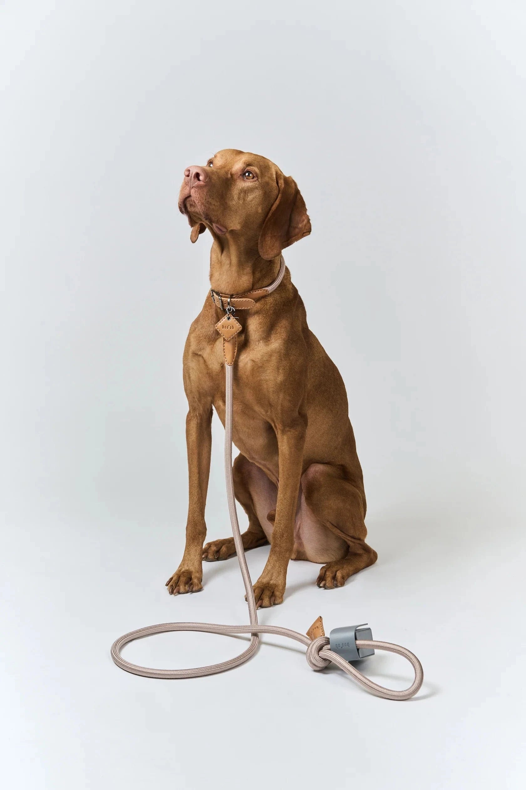 Ray Collar + Leash Set, Boo Oh