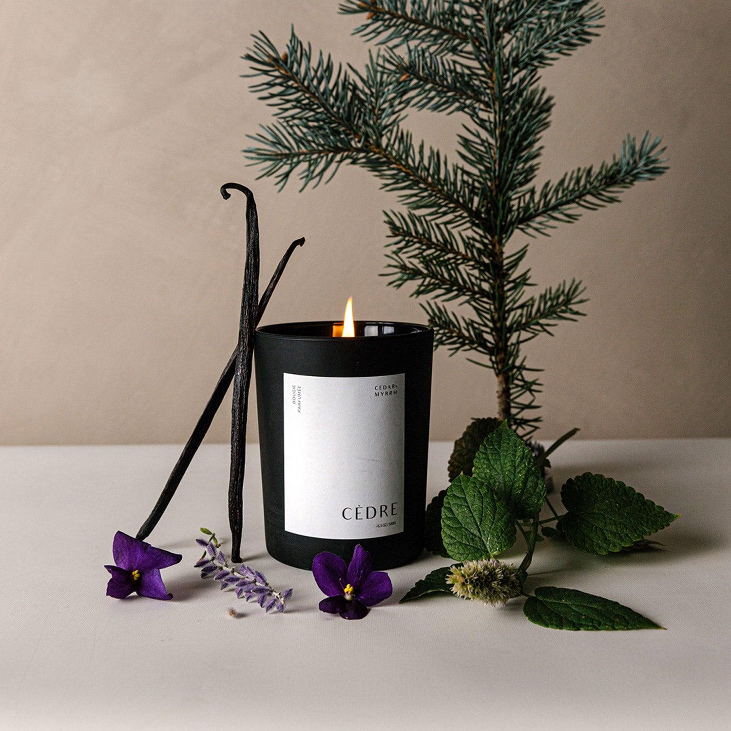 Bougie Parfumée Cèdre Candle