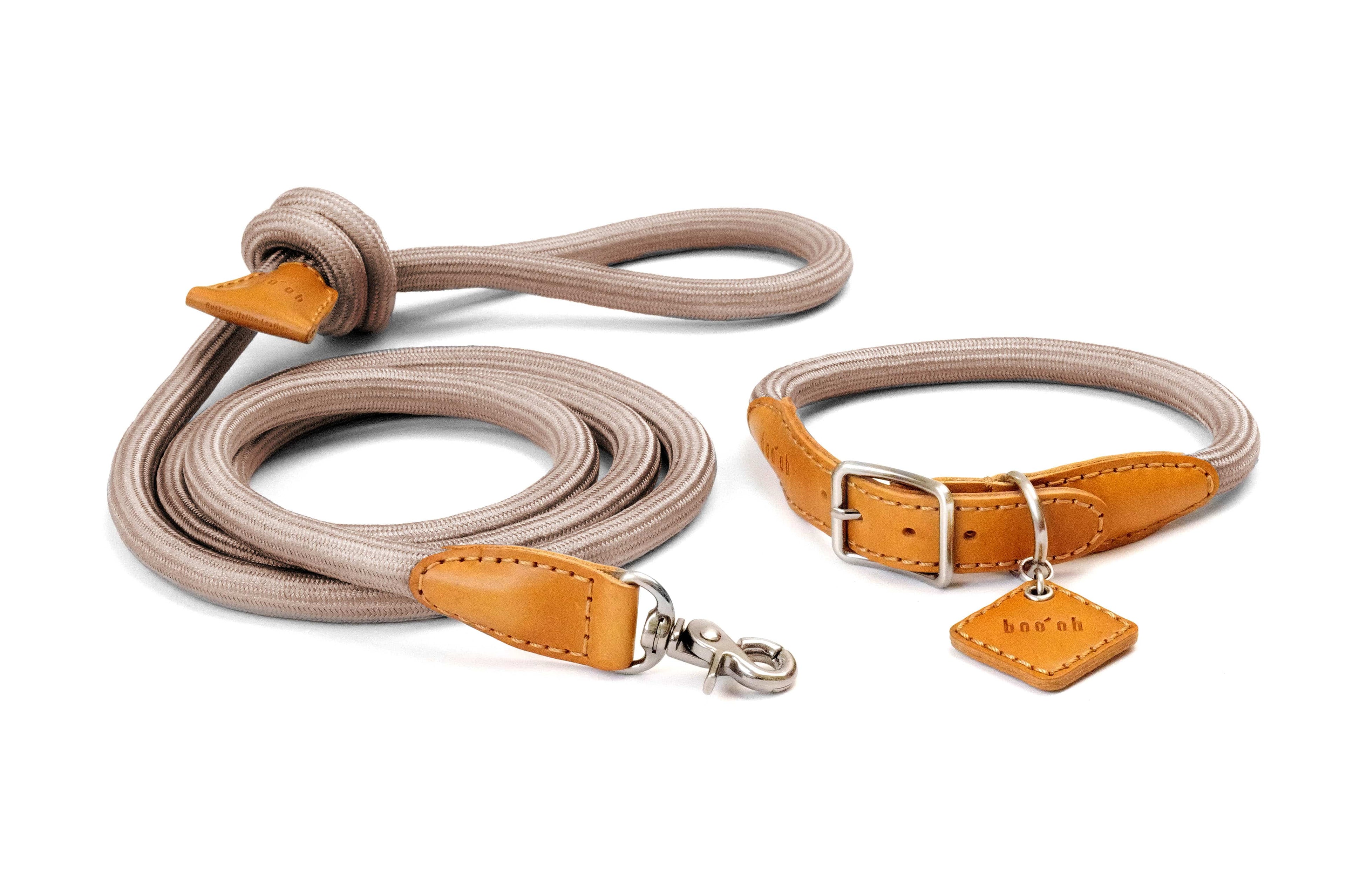 Ray Collar + Leash Set, Champagne Gold