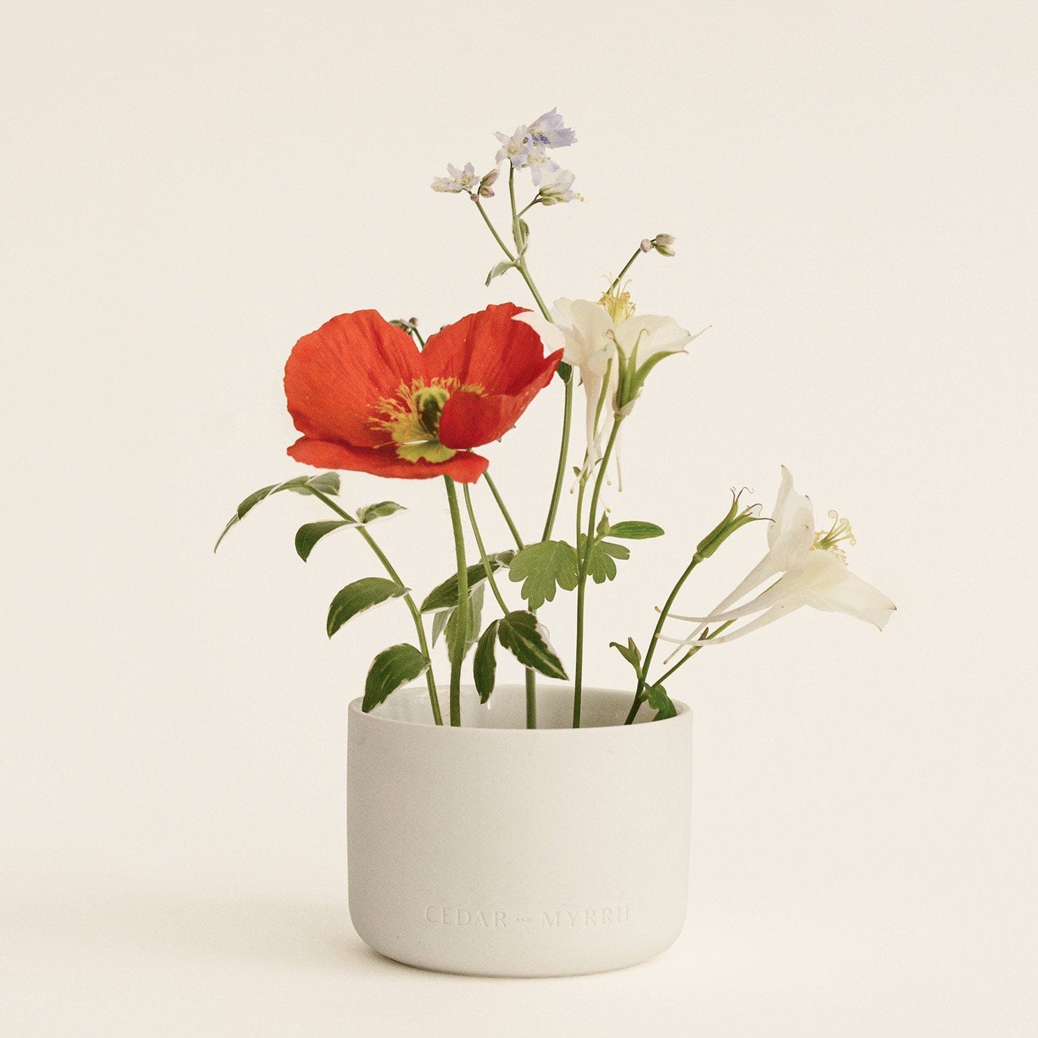 White vase with red poppy and white flowers on a beige background