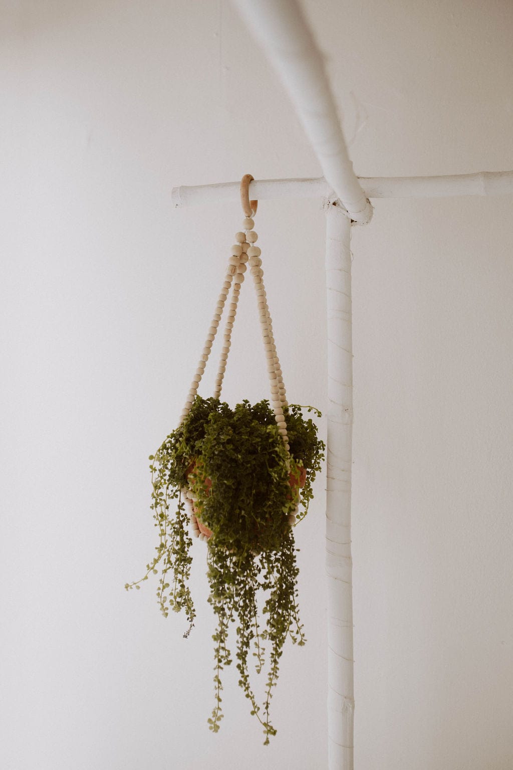 Wood Beaded Plant Hangers