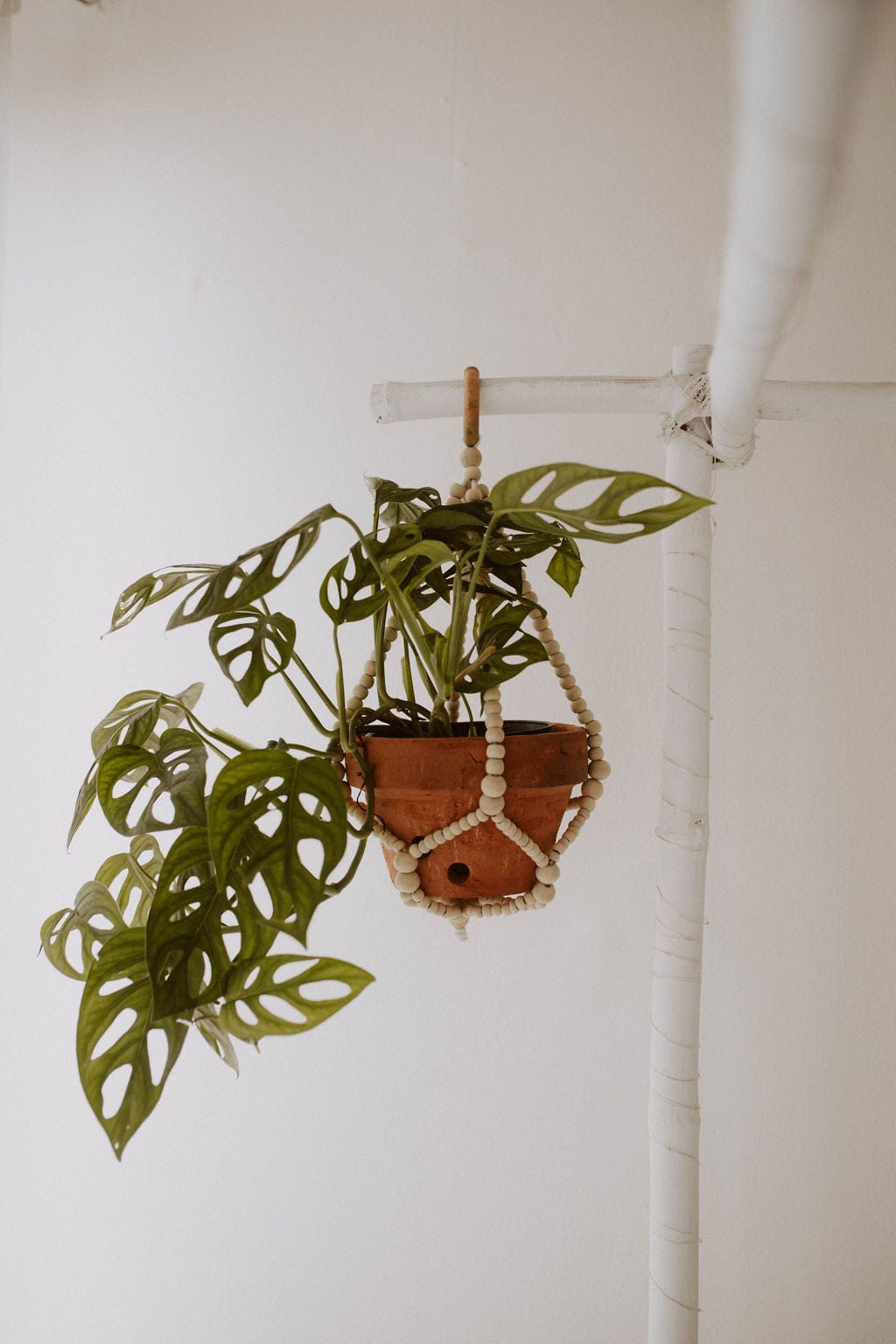 Wood Beaded Plant Hangers