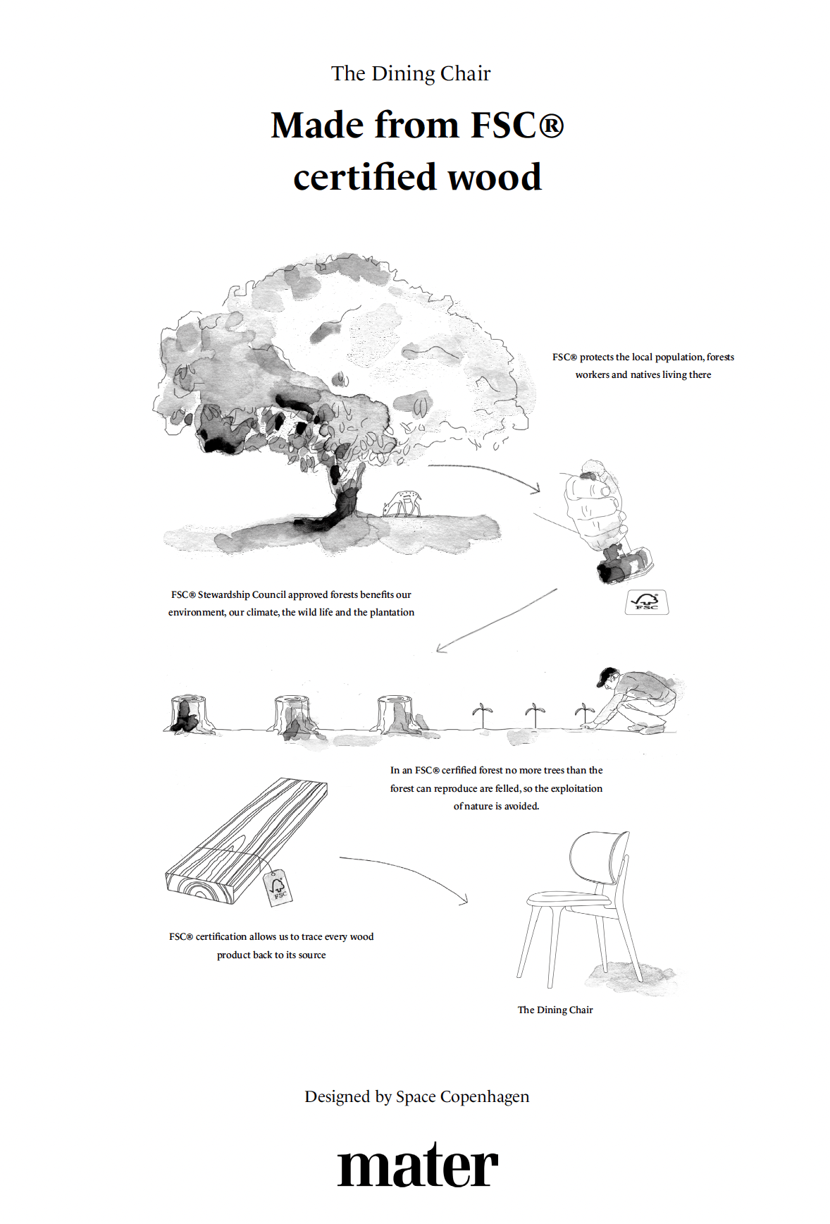 Mater The Dining Chair sustainability and material information