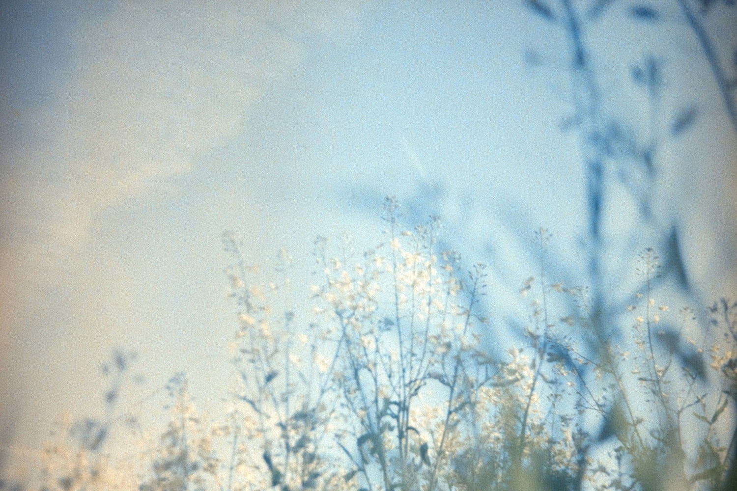 Listen to Pacific Notions, KEXP supported by Japandi Supply House