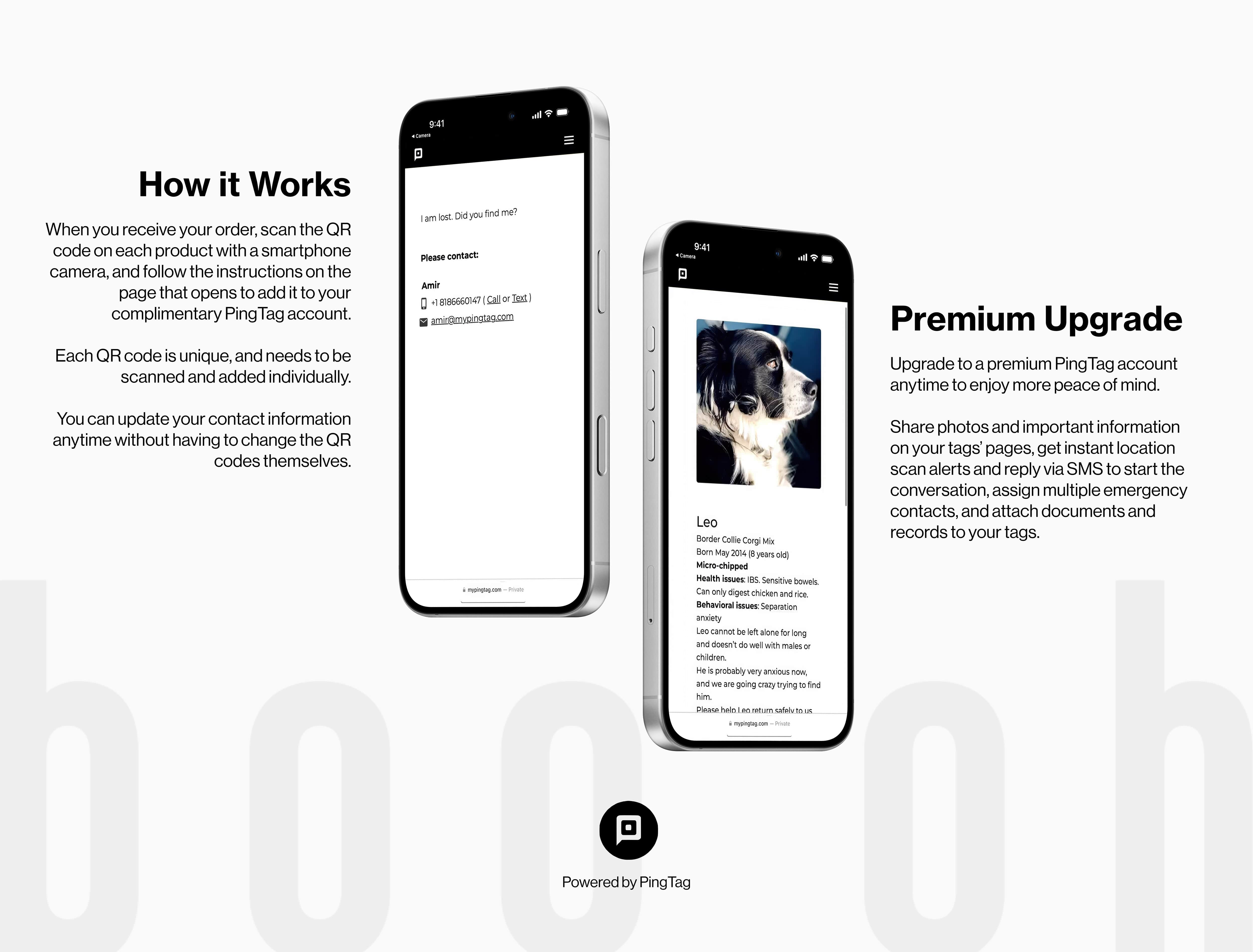 Ray Collar, Champagne Gold