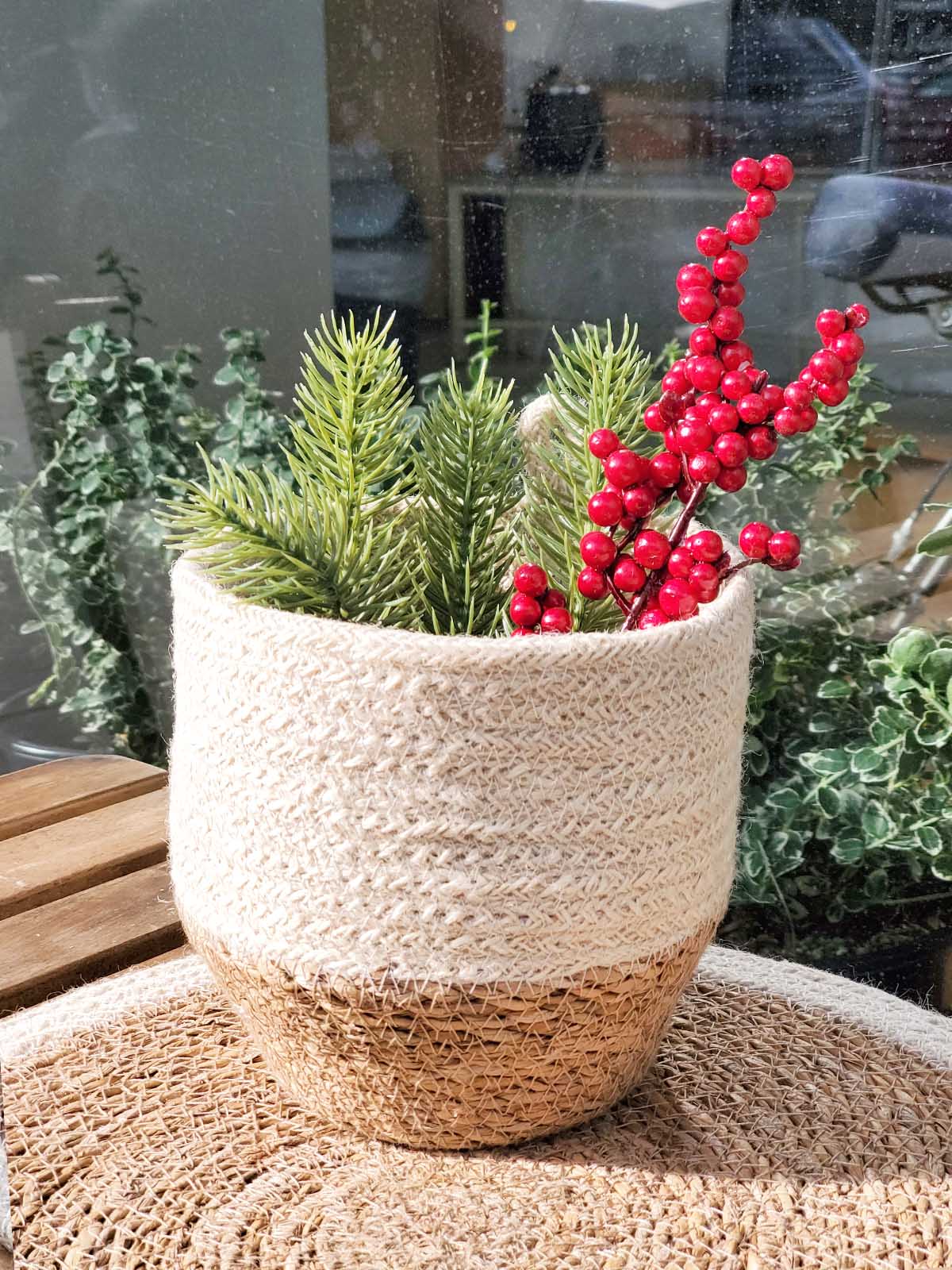 Korissa Amari Loop Bin holding plant with red berries, outdoor setting