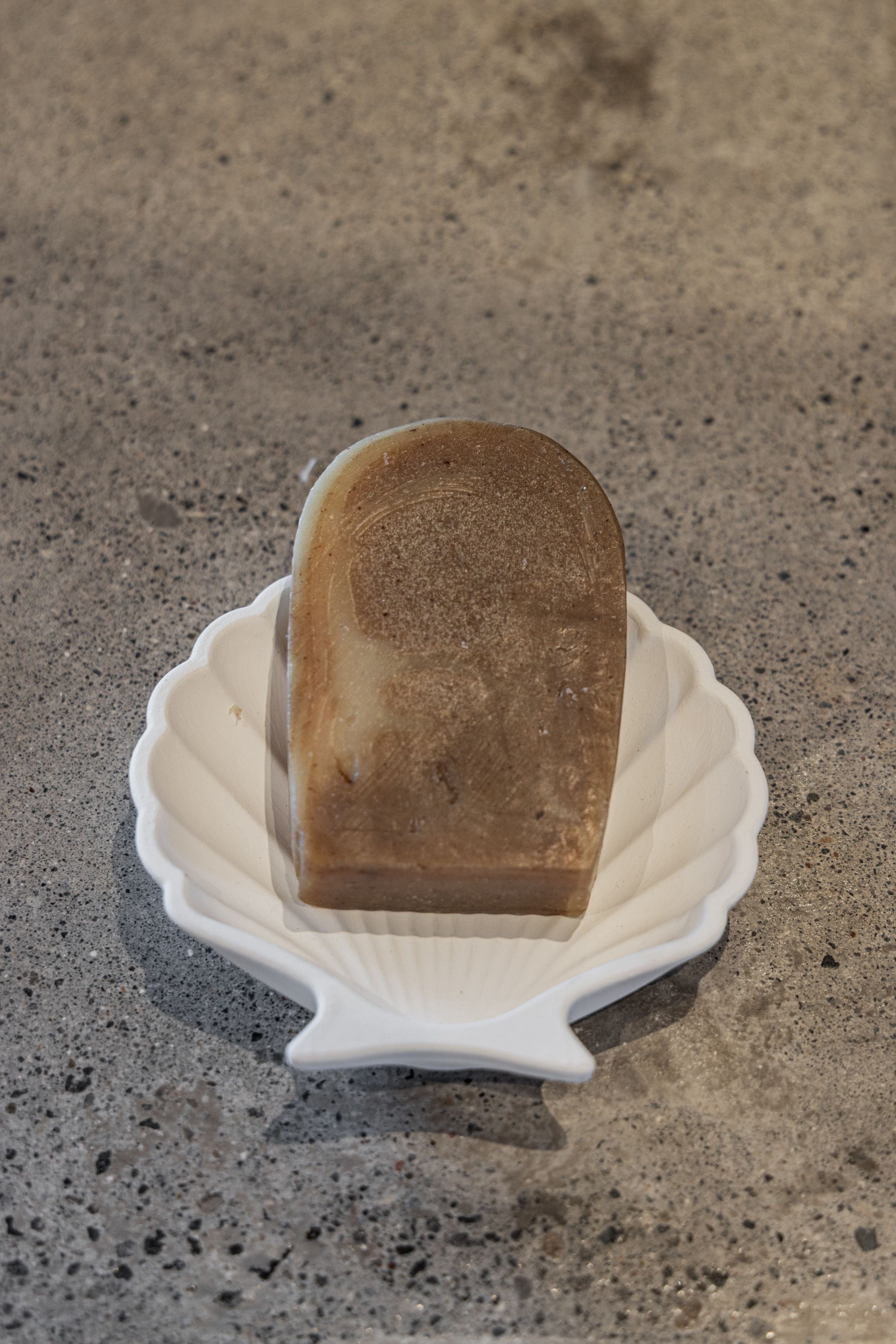 Stucco Shell Trinket Tray