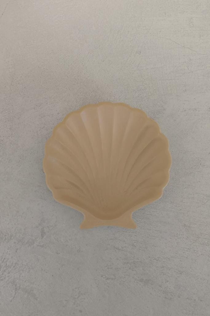 Stucco Shell Trinket Tray