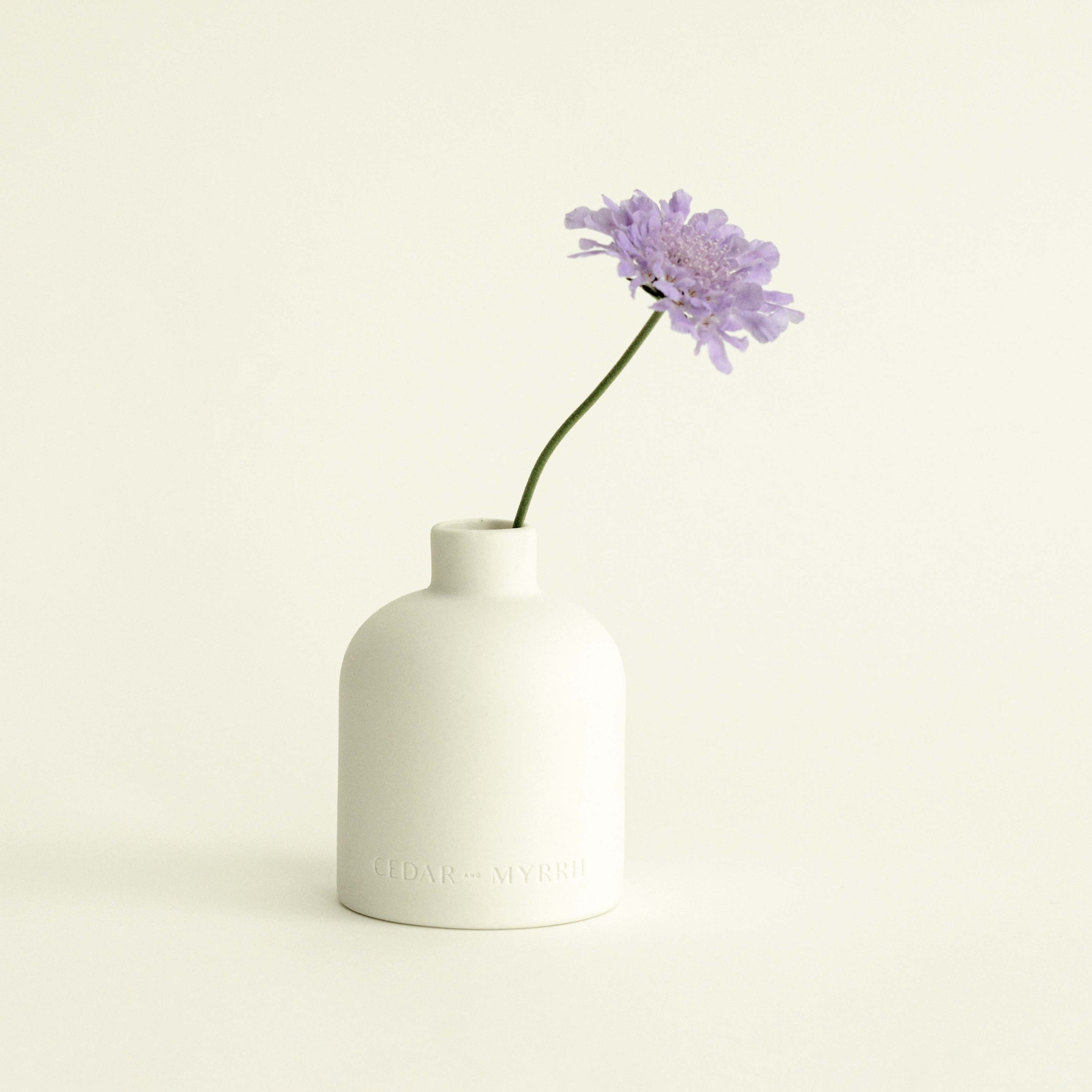 White vase with a single purple flower on a light beige background