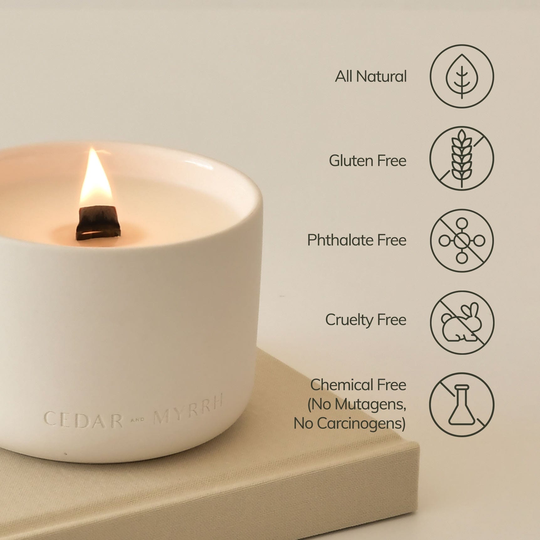 Mantra Wellness Candle