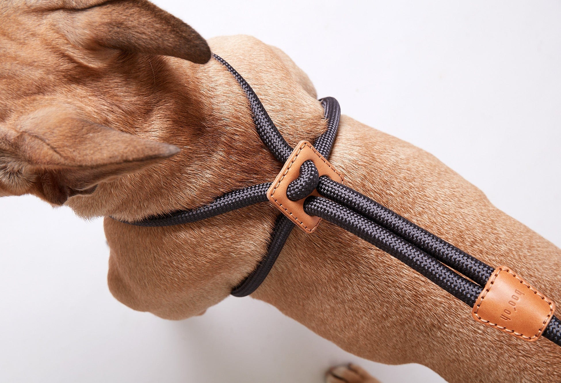 Ray Harness, Dark Graphite Gray