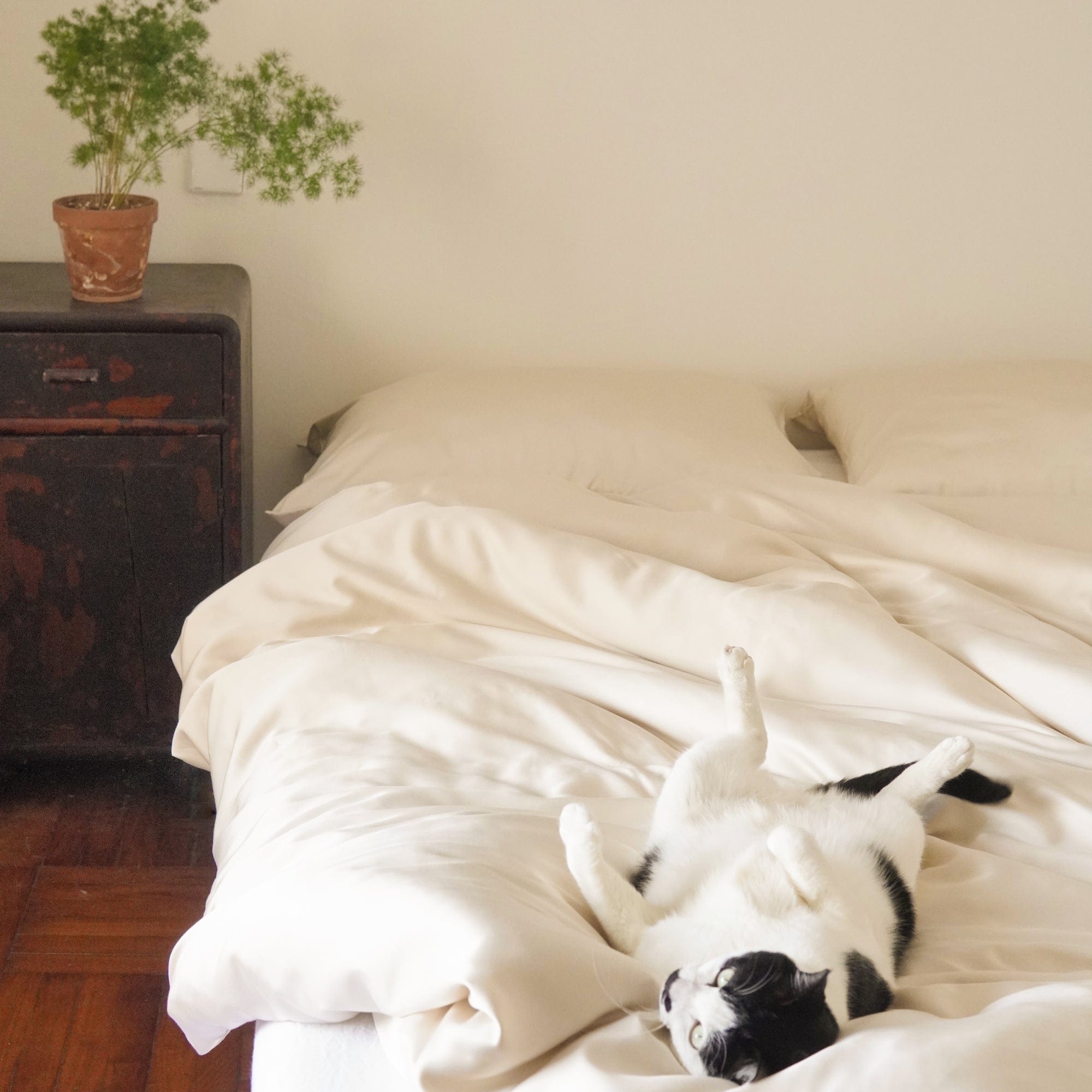 Organic Bamboo Sateen Duvet Cover Set