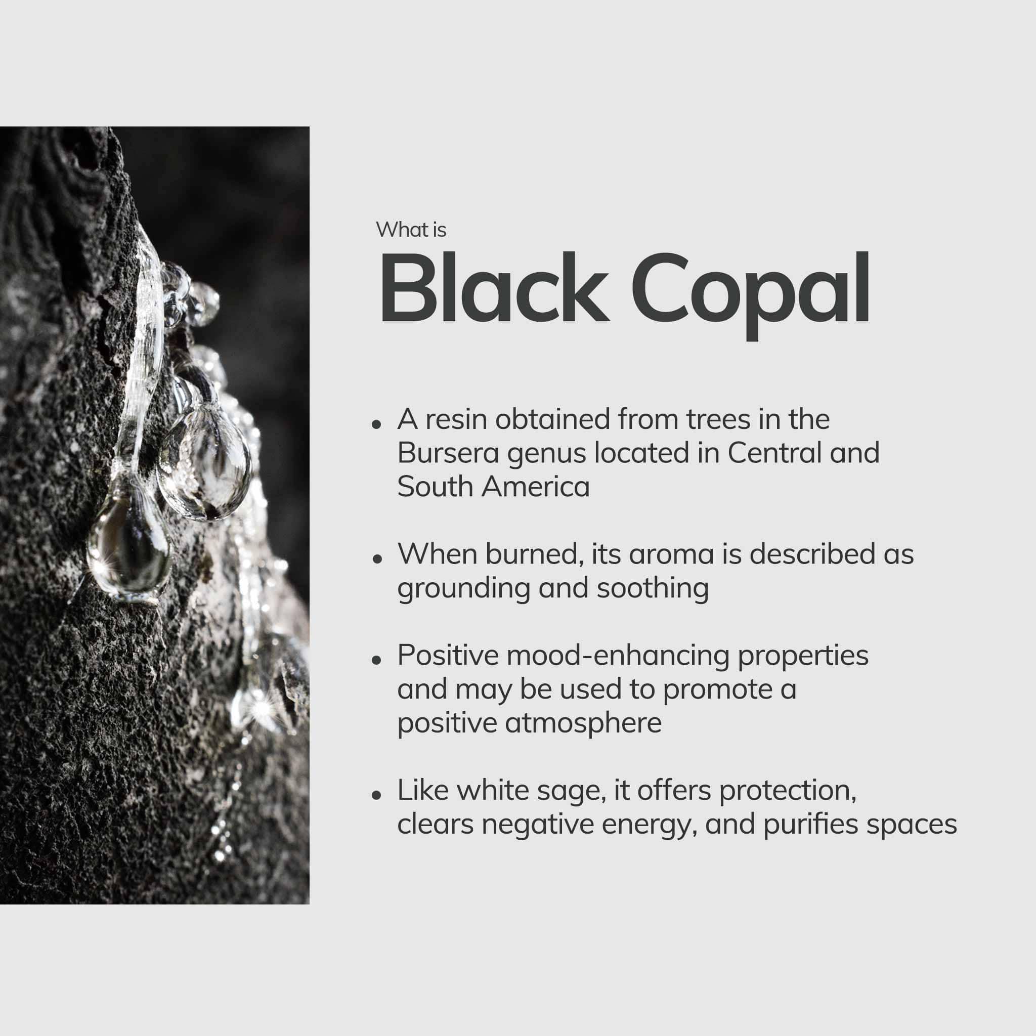 Black Copal resin with descriptive text on a light gray background