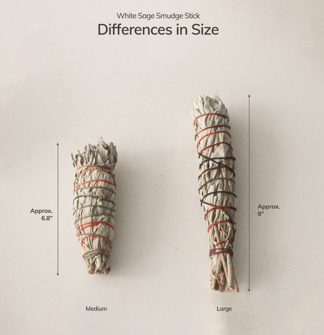 Organic White Sage Smudge Stick - Large differences in size