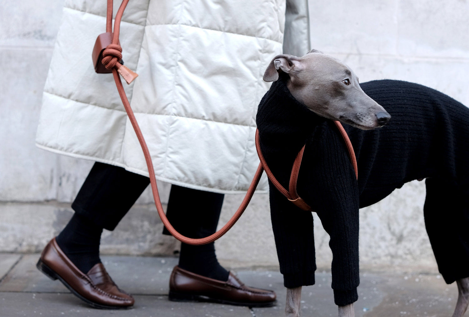 Japandi Pet Accessories