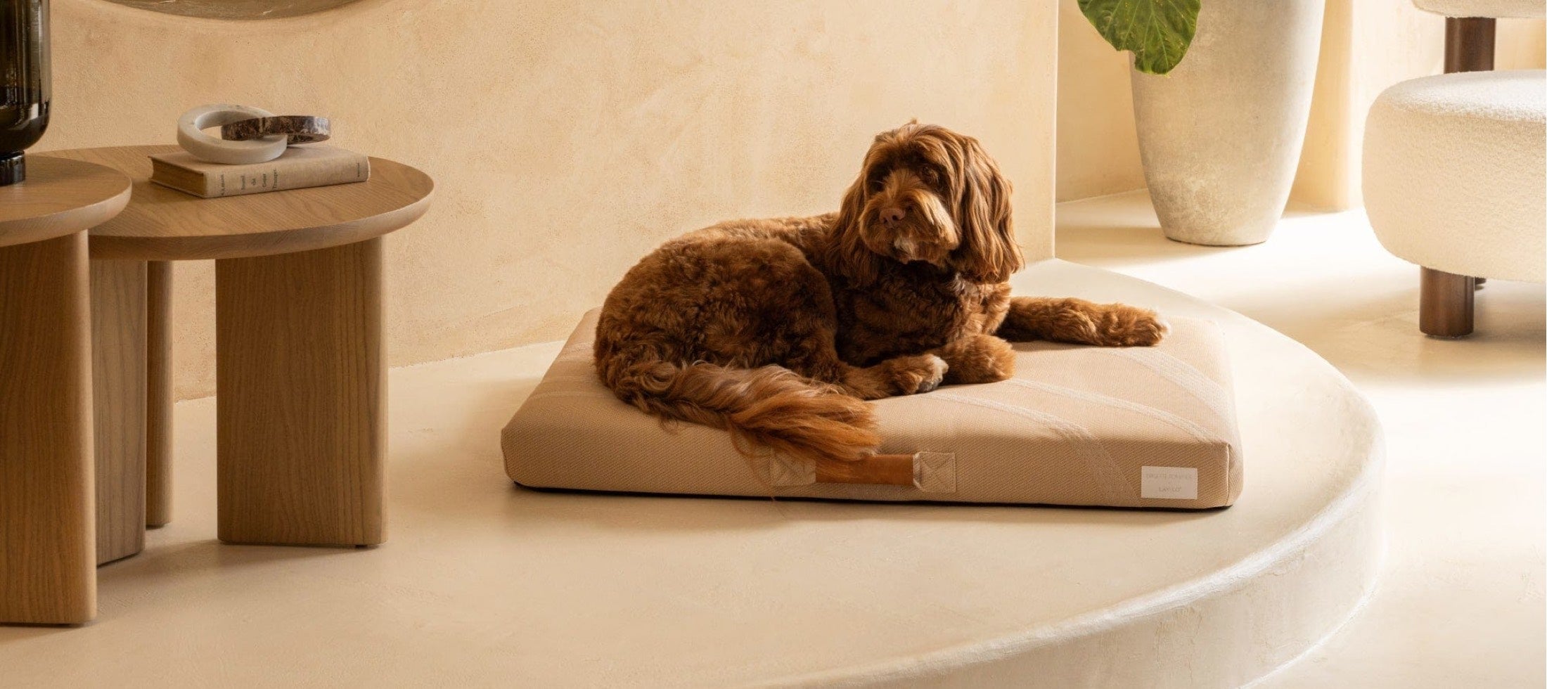 Japandi inspired Pet Accessories shown Lay Lo Pet Bed, shop at Japandi Supply House