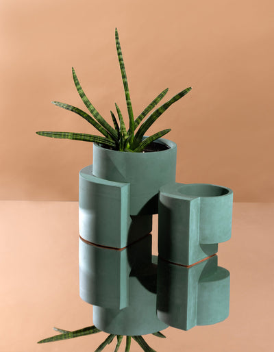 Blue-green Tortuga Forma Platform Planter Medium - Polished Concrete holding a spiky green plant beside a smaller empty matching planter on a mirrored surface, with both reflected against a peach background.