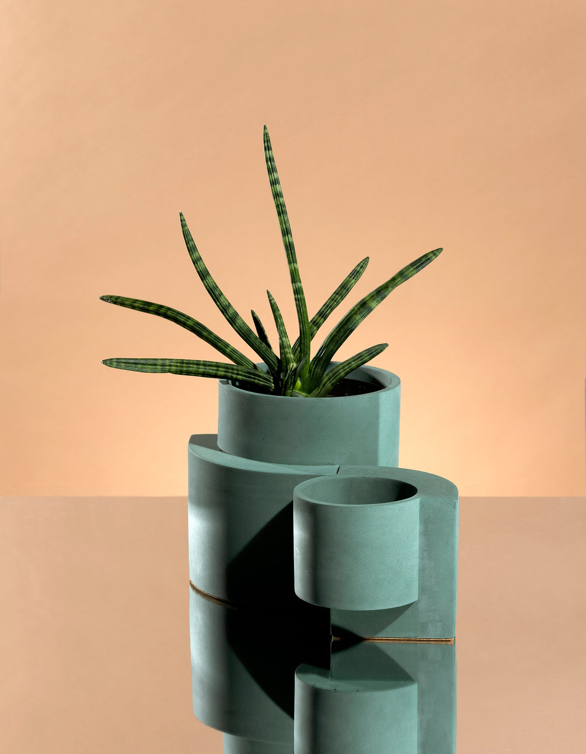 Dark blue-green Tortuga Forma Platform Planter Set on a mirrored surface against a peach backdrop, with a spiky green plant in the larger pot and the smaller pot empty beside it.