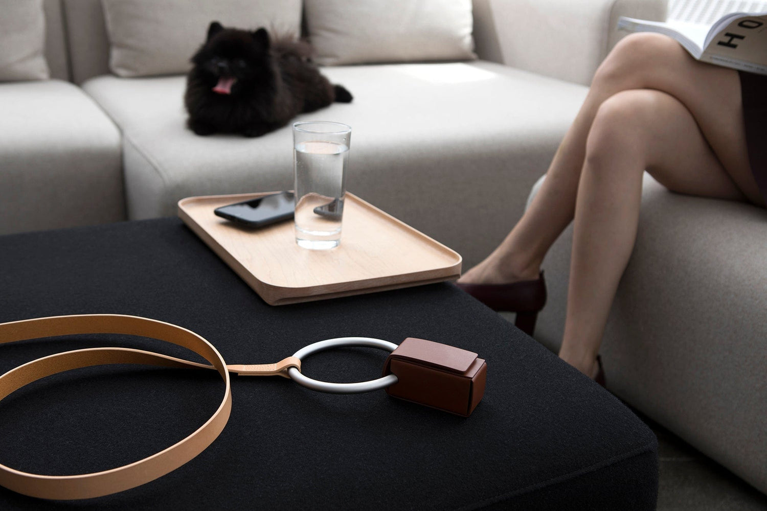Lumi Leash, Sliver + Tan