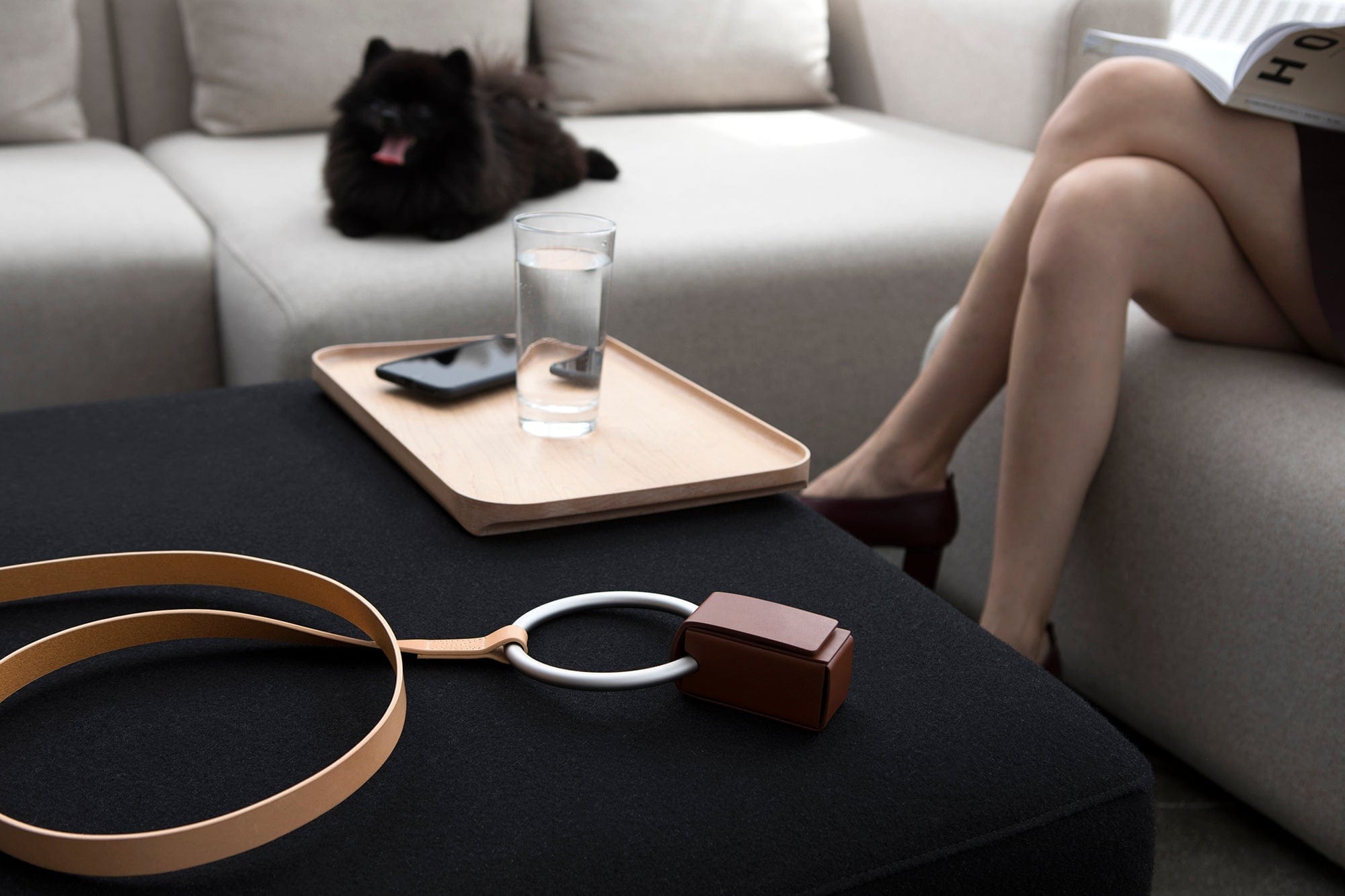 Lumi Leash, Sliver + Tan