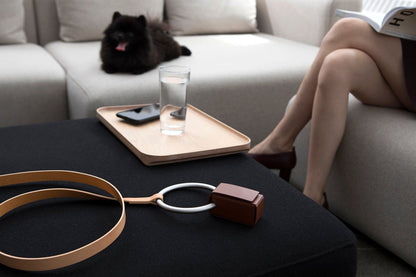Lumi Leash, Sliver + Tan