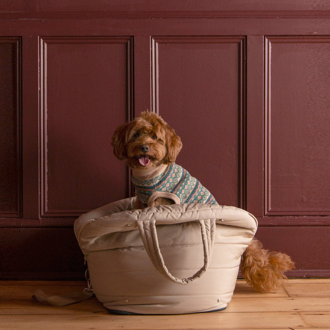 Pet Car Seat Lola