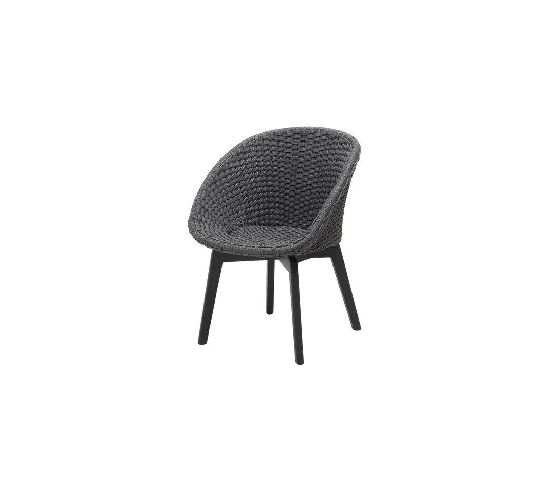 Peacock Indoor Chair