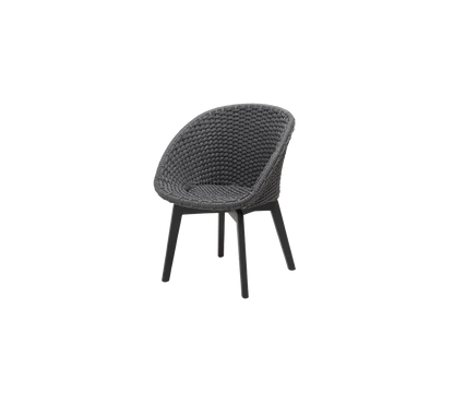 Peacock Indoor Chair