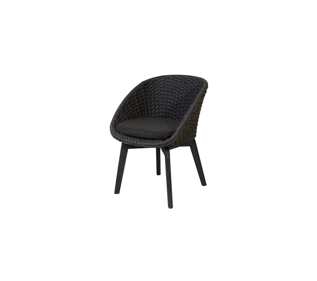 Peacock Indoor Chair