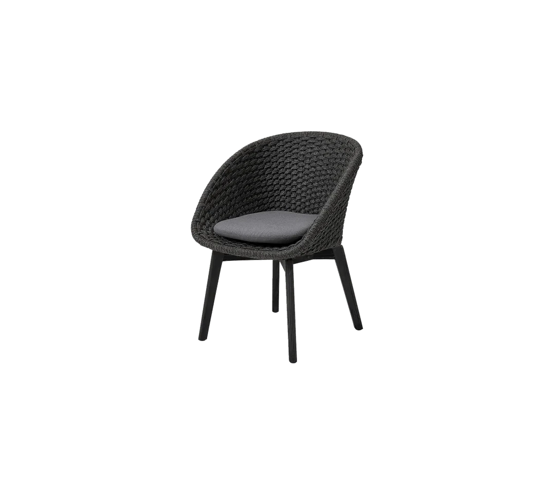 Peacock Indoor Chair