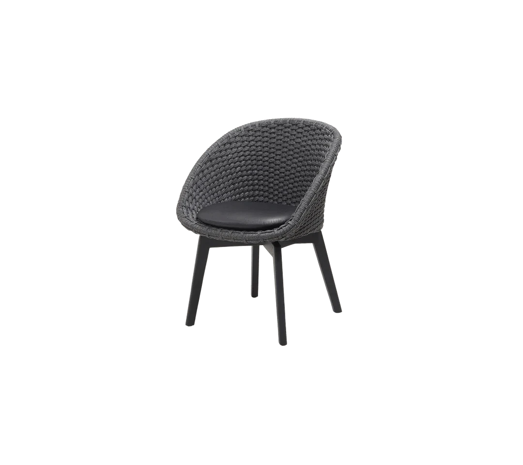 Peacock Indoor Chair