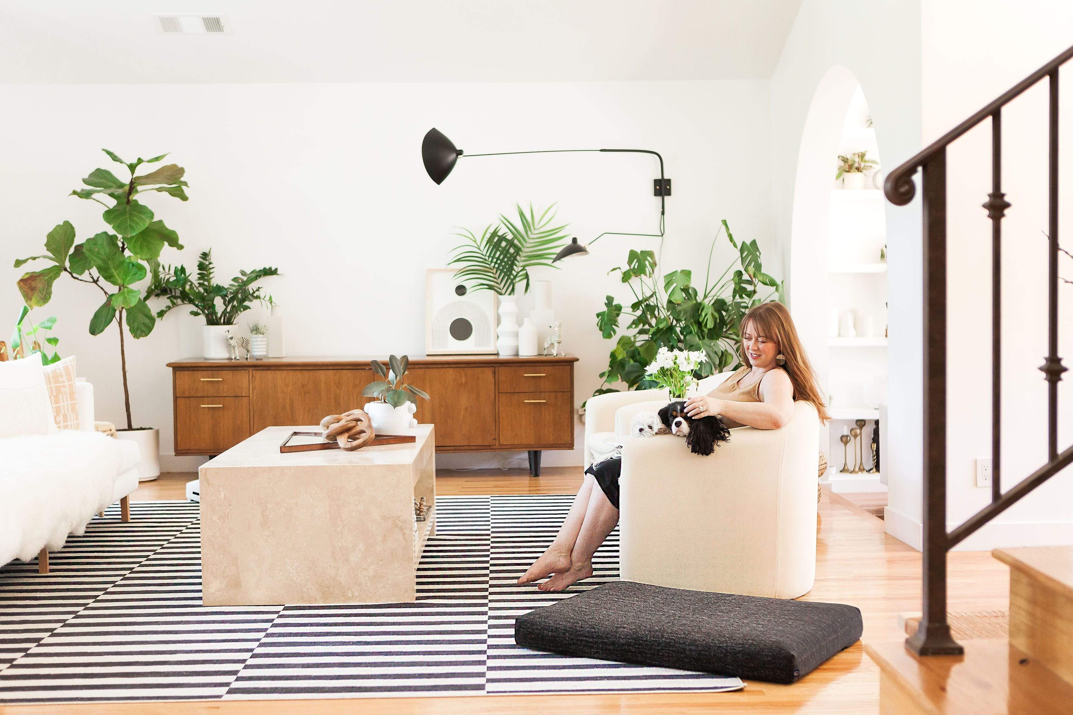 Lay Lo Orthopedic Dog Bed in Black