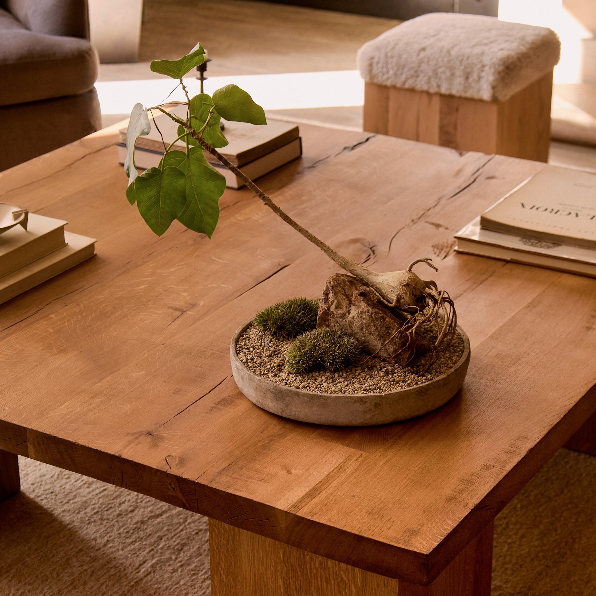 Eik Coffee Table -  Square by House of Leon — view 3