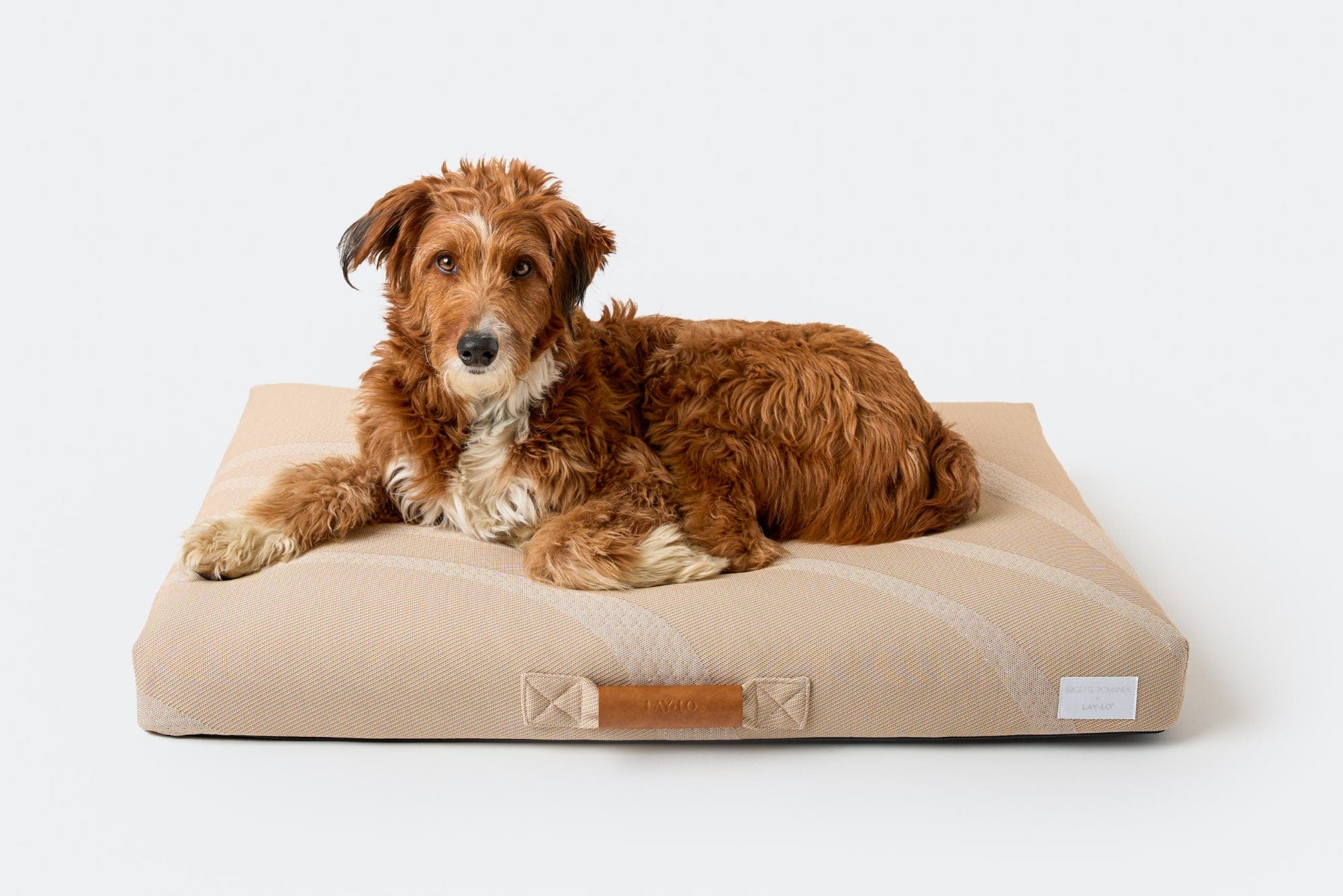 Brigette Romanek | Taupe Dog Bed or Bed Cover with dog