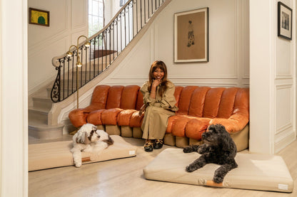 Brigette Romanek with dogs | Taupe Dog Bed or Bed Cover 