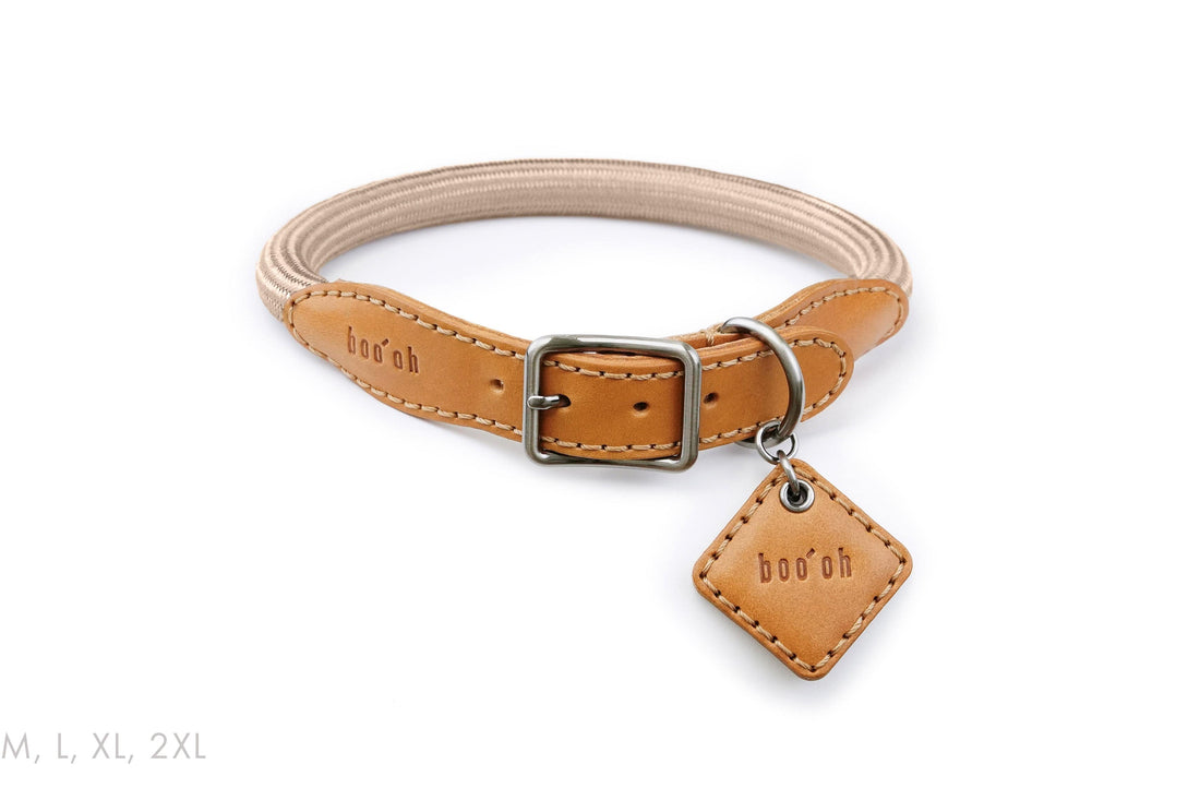 Ray Collar, Champagne Gold