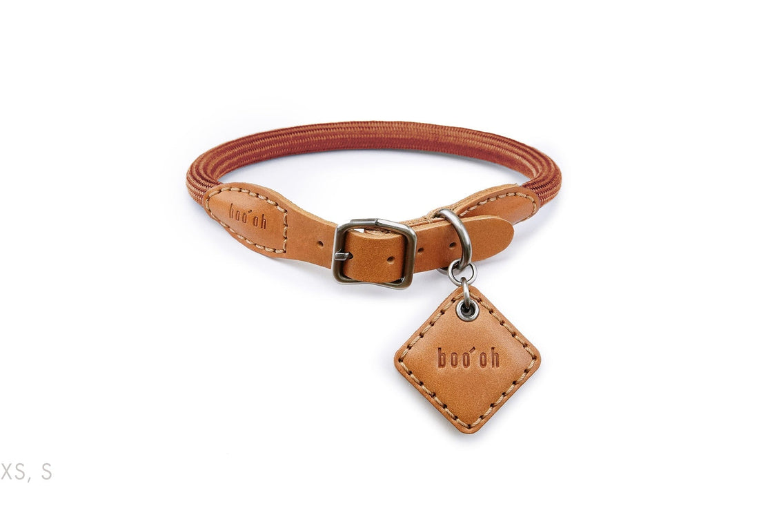 Ray Collar, Camel Brown