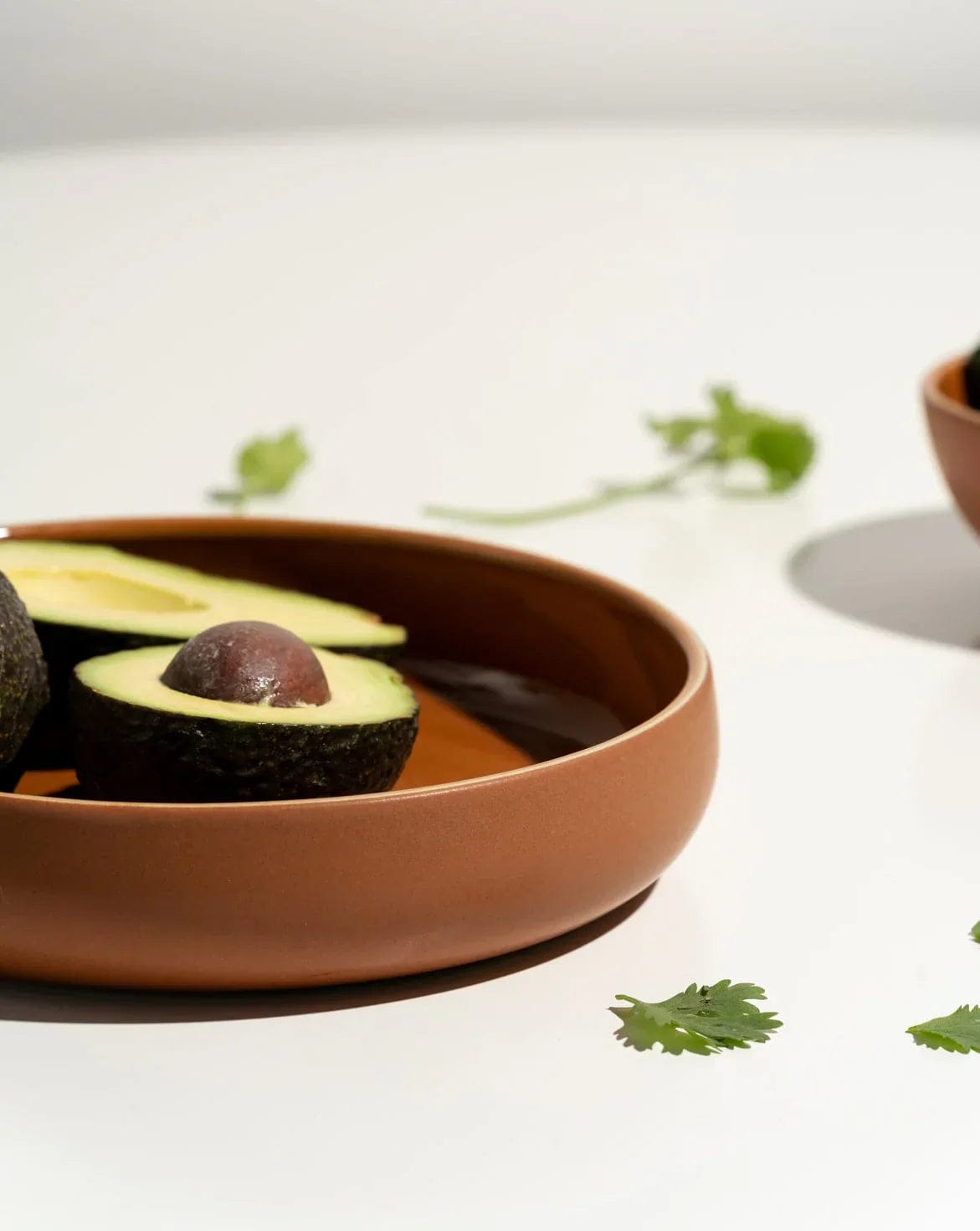 Japandi Tableware Pasta Bowl - Terracotta, Set of 4