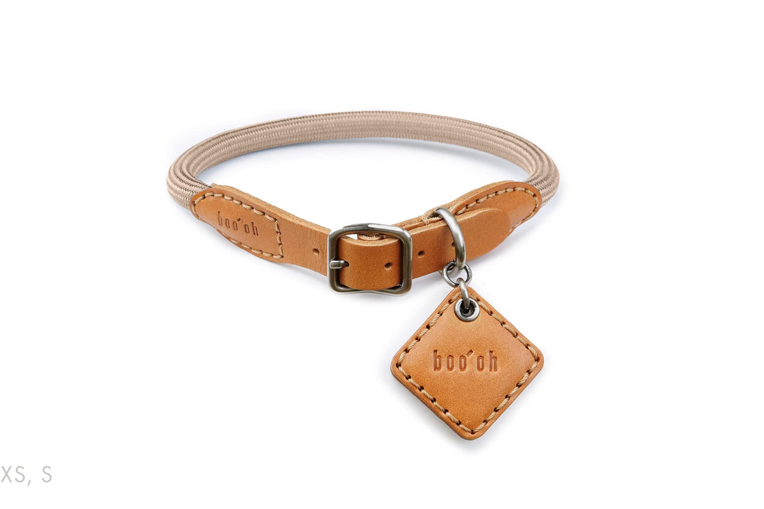 Ray Collar, Champagne Gold