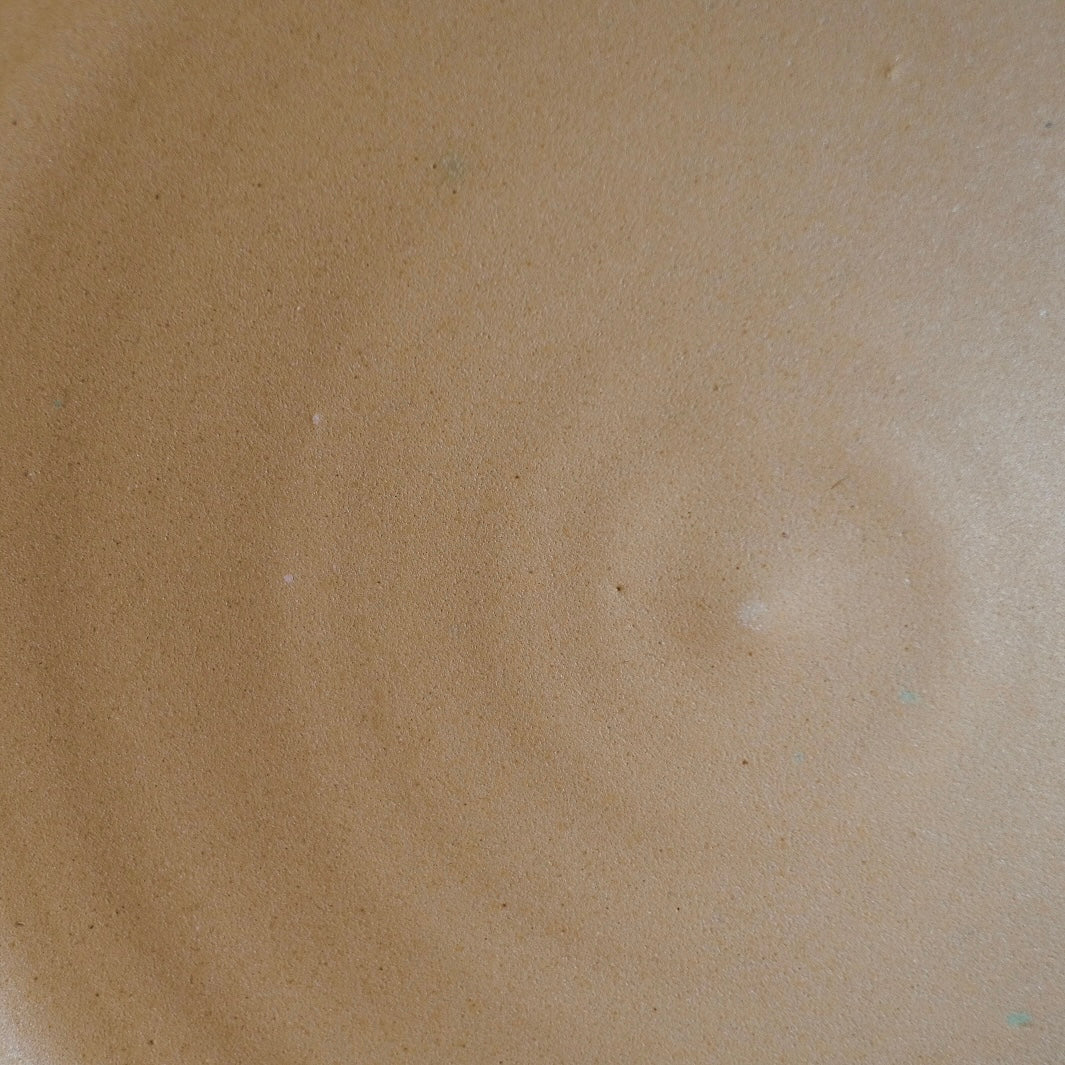 Horizon Dinner Plate - Satin Sand glaze swatch