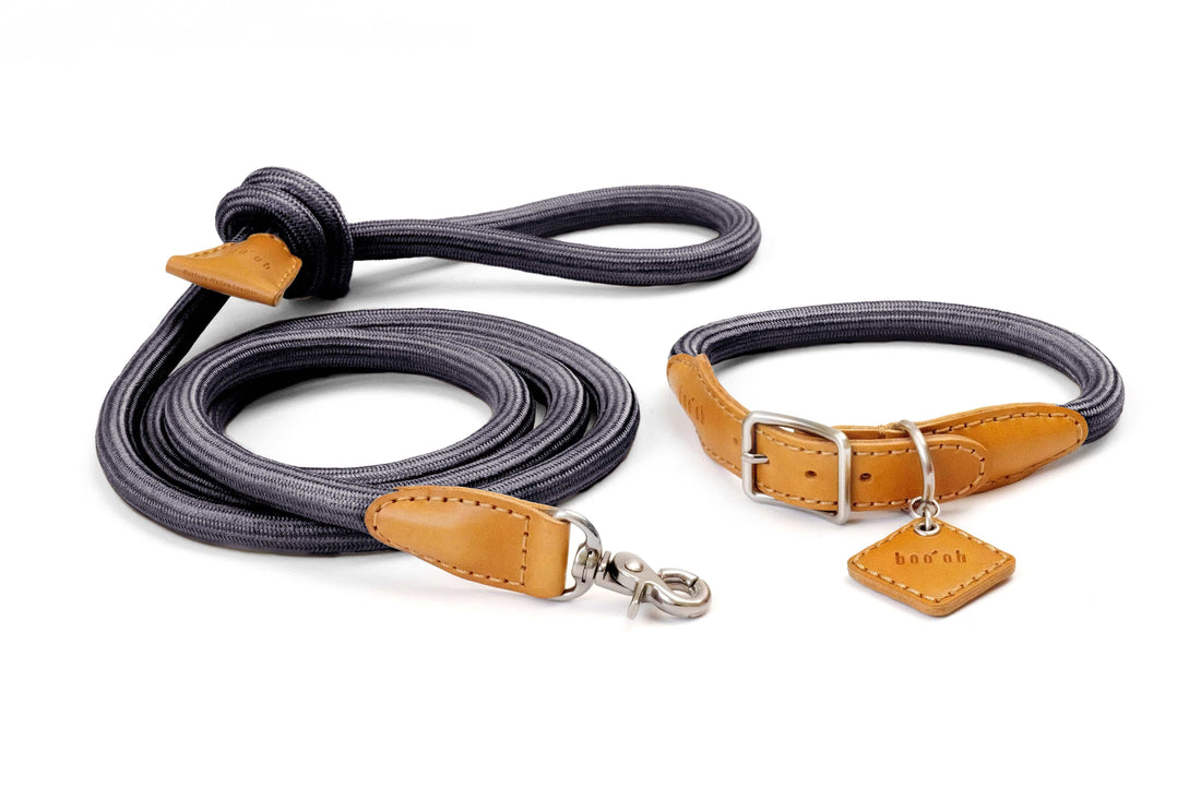 Ray Collar + Leash Set, Dark Graphite Grey