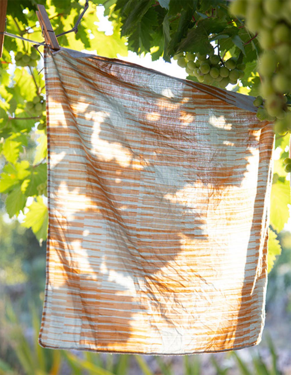 Tortuga Forma Dinner Napkins Double Sided Drift - Quiet Season hanging among green foliage outdoors, with sunlight and leaf shadows crossing its cream surface and orange-and-grey linear pattern.