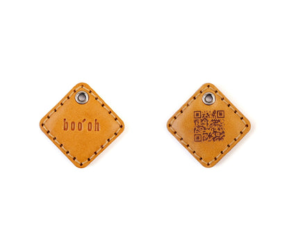 Ray Collar + Leash Set, Champagne Gold