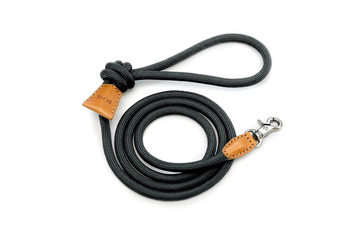 Ray Leash, Black