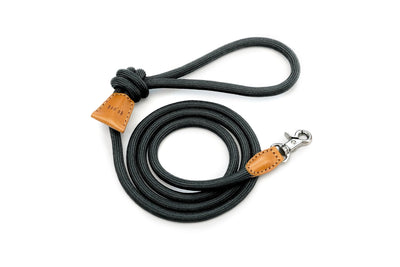 Ray Leash, Black