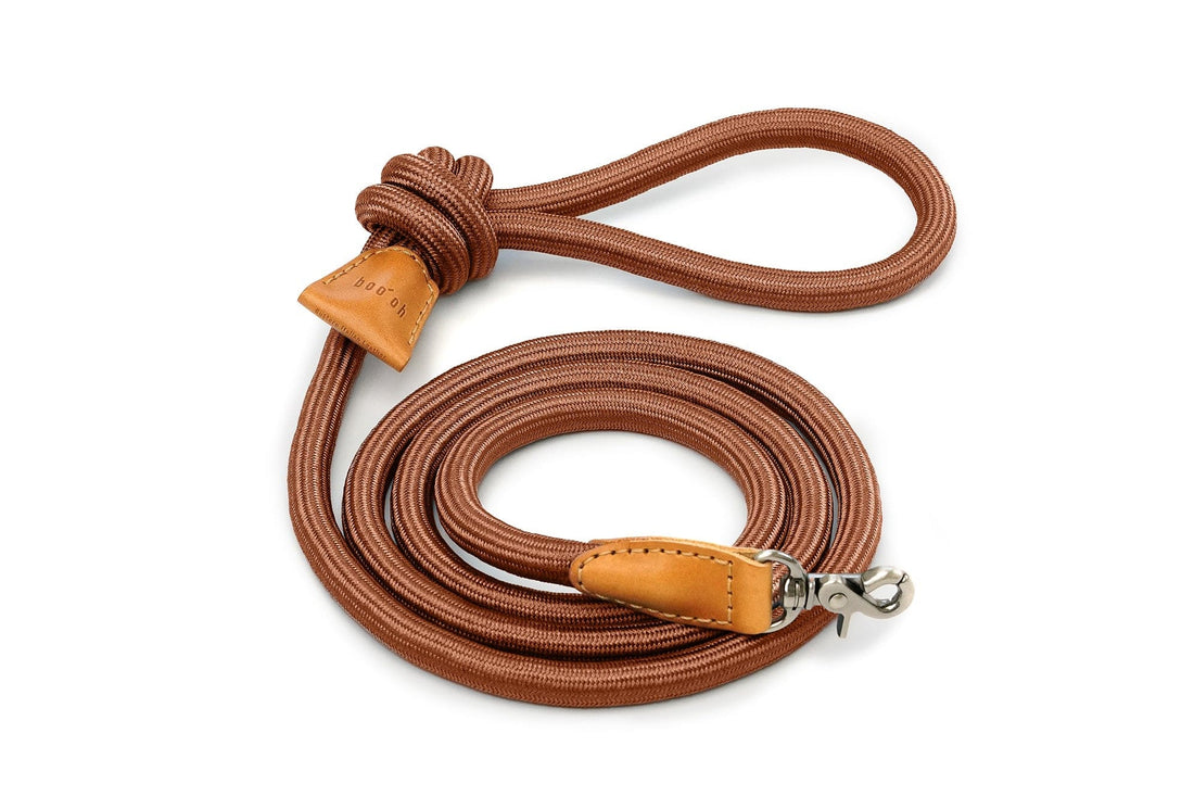 Ray Leash, Camel Brown
