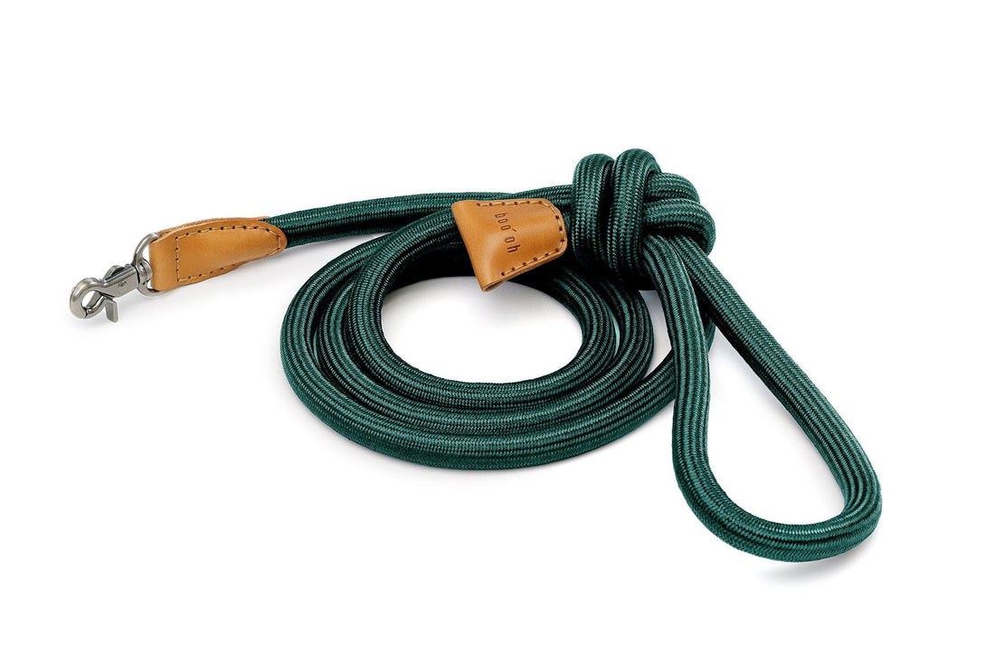 Ray Leash, Dark Jade Green